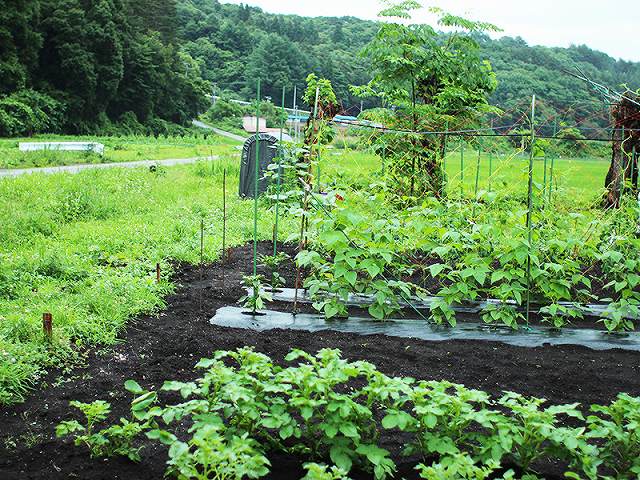 やまぼうし桜台の画像（6）