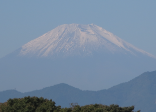 ライフコート海老名ふるさとの画像（6）