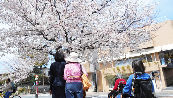 チャームプレミア田園調布の画像（6）